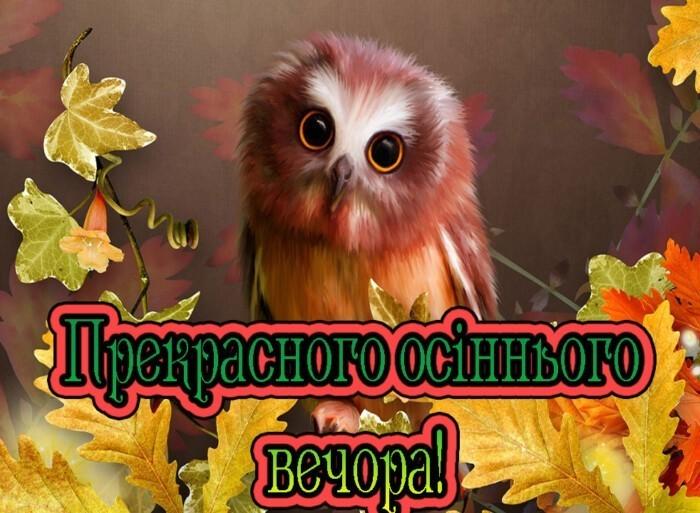 смішна картинка доброго осіннього вечора