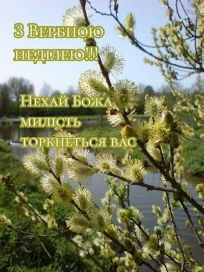 листівка з вербною неділею